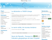 Tablet Screenshot of institutdusavon.fr